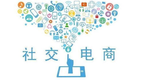 家用電器電商項目 如何快速實現(xiàn)盈利